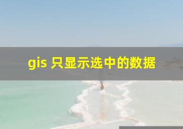 gis 只显示选中的数据